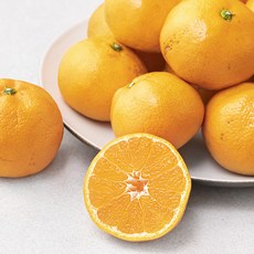 강서시장 새벽경매 서귀포 노지 감귤, 5kg(L), 1팩