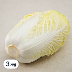 국내산 손질 배추 1개입 3개