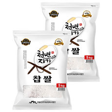 천년지기 국산 찹쌀, 5kg, 2개