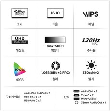 빅트랙 QHD IPS 120Hz 휴대용 모니터, 40.64cm, 160PM02