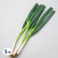 국내산 무농약 대파, 300g, 5개