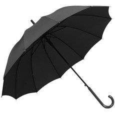 자동장우산