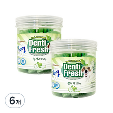 코코브라운 강아지 덴티프레쉬 덴탈껌 청사과 250g, 6개