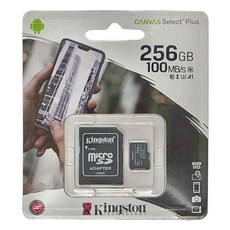 金士頓 Kingston Micro SDXC 記憶卡, 256GB, 100MB/s, 附帶 SD 轉卡, 1個