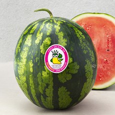 농협 스테비아 농법 수박, 9kg 미만, 1개