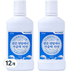 맑은 덴탈케어 가글액 치약, 250ml, 12개