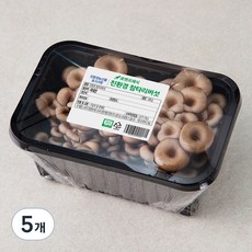 친환경 참타리버섯, 300g, 5개