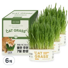 펫팀 캣그라스, 새싹귀리, 6개