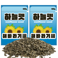 하늘펫 해바라기씨 햄스터 간식, 400g, 2개