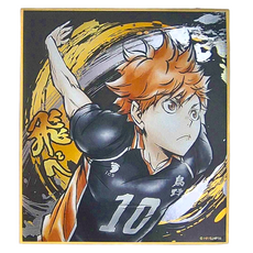 Haikyu 排球少年!! 激鬥!!閃亮色紙 日向翔陽, 1張