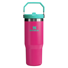 STANLEY 經典系列 IceFlow 手提吸管杯, 熱帶桃, 880ml, 1個