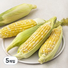 곰곰 초당옥수수(소), 5개입, 1개