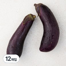 친환경 가지, 2개입, 6개