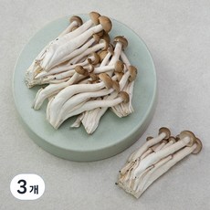 국내산 무농약 손질된 갈색 만가닥버섯, 300g, 3개