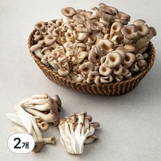 국내산 애느타리버섯, 2kg, 2개