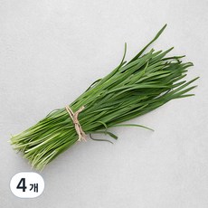 국내산 GAP 부추, 250g, 4개