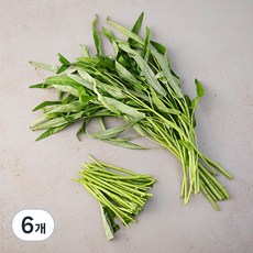 국내산 공심채, 150g, 6개