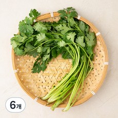 국내산 유기농 고수, 30g, 6개