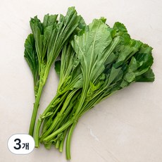 국내산 친환경 아욱, 300g, 3개