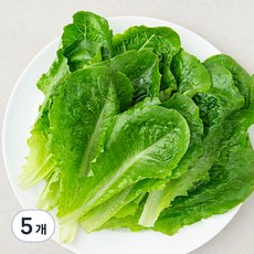 로메인 상추, 200g, 5개