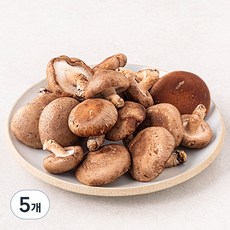 못생겨도 맛있는 친환경 표고버섯, 1kg, 5개