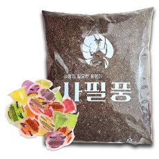 사필풍 장수풍뎅이 실속팩 세트, 혼합색상, 1세트 혼합색상, 1세트