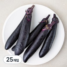 국내산 가지, 25개