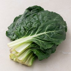 친환경 근대, 300g, 1개