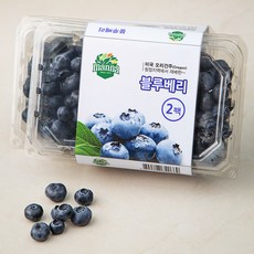 만나 미국 블루베리, 311g, 2팩