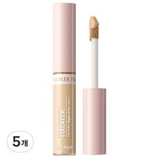 더샘 커버 퍼펙션 픽실러 6.5g, 02리치베이지, 5개