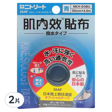 Nitto 日東 醫療用貼布 藍色, 2片