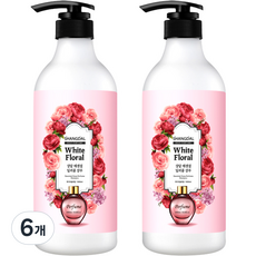 샹달 에센셜 딥퍼퓸 샴푸, 1000ml, 6개