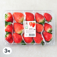 광식이농장 GAP 인증 광식이네 설향 딸기, 500g, 3팩