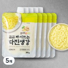 곰곰 짜서쓰는 다진 생강, 300g, 5개