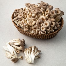 국내산 애느타리버섯, 2kg, 1개
