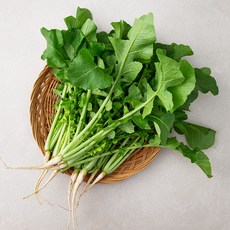 경주 열무, 1kg, 1봉