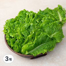 국내산 청상추, 1kg, 3개 1kg, 3개