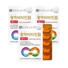 종근당 활력 비타민B 플러스, 60정, 3개 60정, 48g, 3개