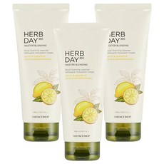 더페이스샵 허브데이 마스터 블렌딩 클렌징폼 레몬, 170ml, 3개