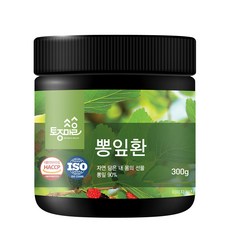 토종마을 HACCP 인증 뽕잎환, 1개, 300g