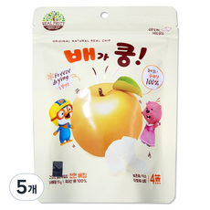 뽀로로 동결건조 과일칩 배가 쿵, 배, 5개, 15g