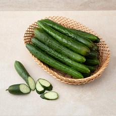 취청오이 국내산, 10kg, 1개