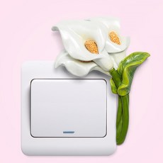 스위치커버장식