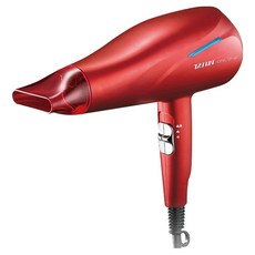 達新牌 銀離子抗菌負離子吹風機, 1400W 專業大風量, 6段溫熱風力選擇, TS-2969
