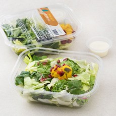 춘천샐러드배송