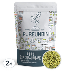 푸른빈 산미나리 씨앗 회향 펜넬, 500g, 2개