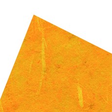 788467409815526-044f8e96-e14d-4da6-a1f4-5a977eb7149a.jpg