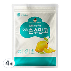 맛있는풍경 엄마가 선택한 순수망고, 10g, 4개