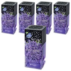 Air Fresh 福爾摩斯果凍芳香薰衣草原品, 120g, 5個