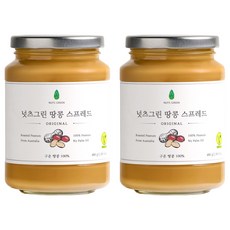 넛츠그린 땅콩 스프레드 오리지널, 480g, 2개